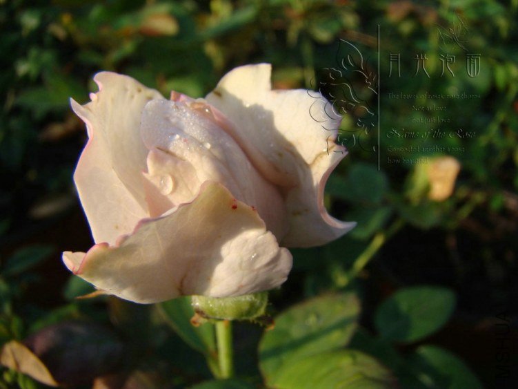 QQ��ͼ20120711094718_1.jpg