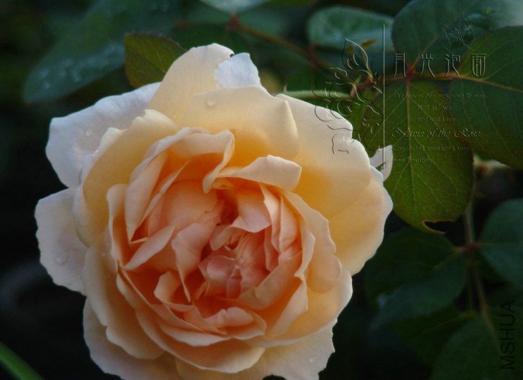 QQ��ͼ20120711094820_1.jpg