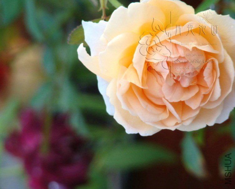 QQ��ͼ20120711094831_1.jpg