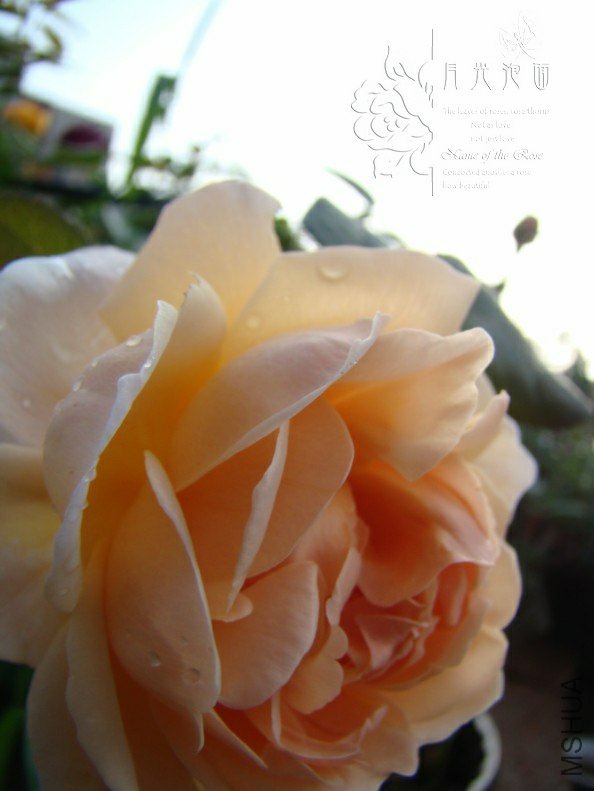 QQ��ͼ20120711094846_1.jpg