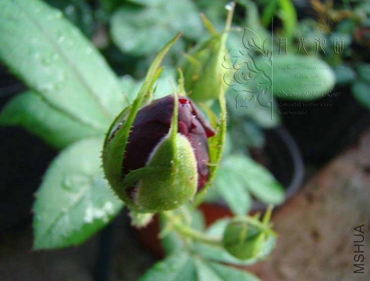 QQ��ͼ20120711094856_1.jpg