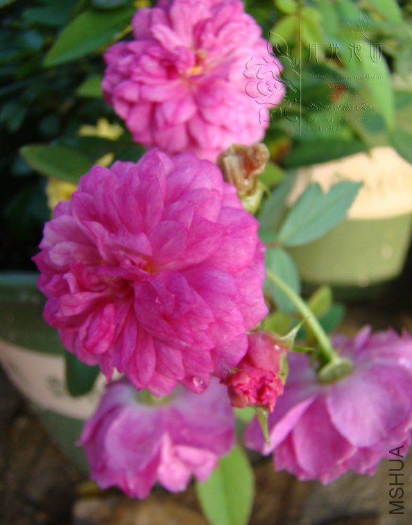 QQ��ͼ20120711094946_1.jpg