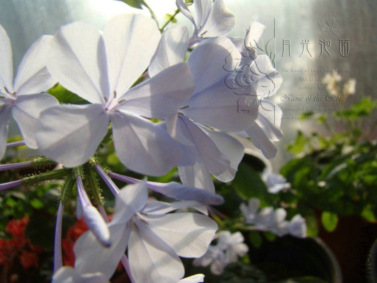 QQ��ͼ20120711094228_1.jpg