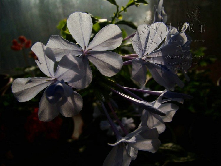 QQ��ͼ20120711094126_1.jpg