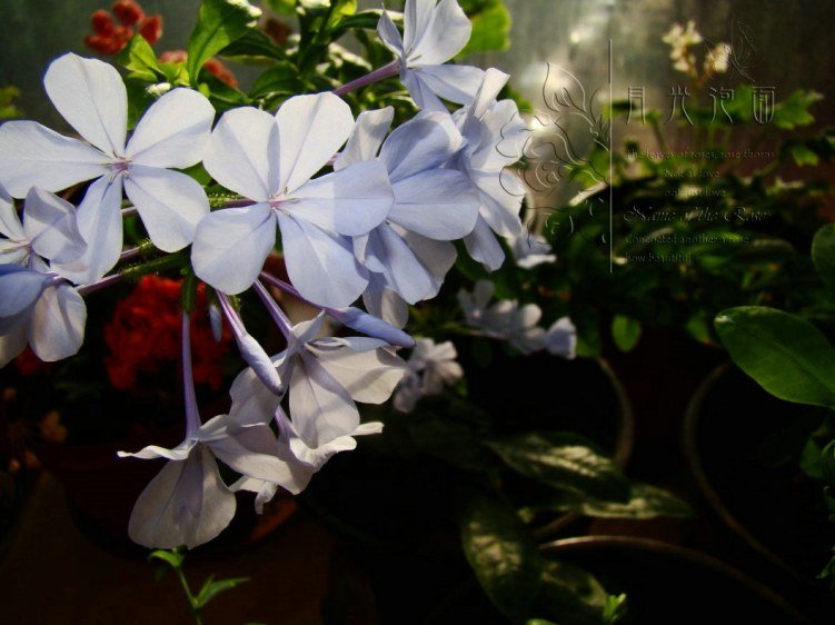 QQ��ͼ20120711094137_1.jpg