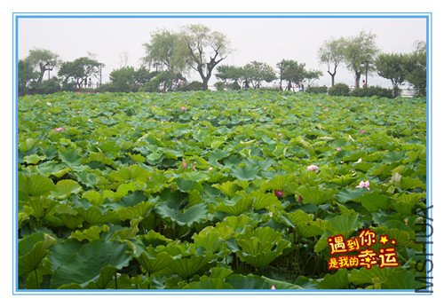 ��Ƭ 002_����.jpg