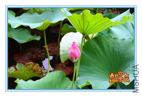 ��Ƭ 003_����.jpg