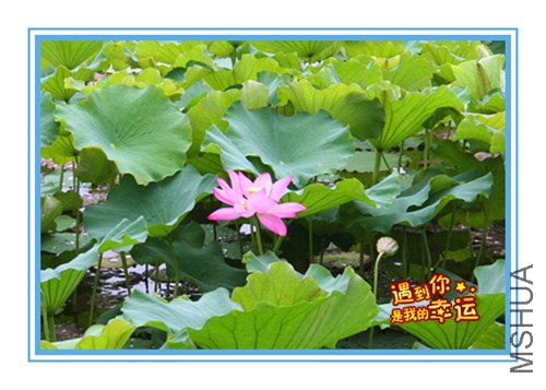 ��Ƭ 004_����.jpg