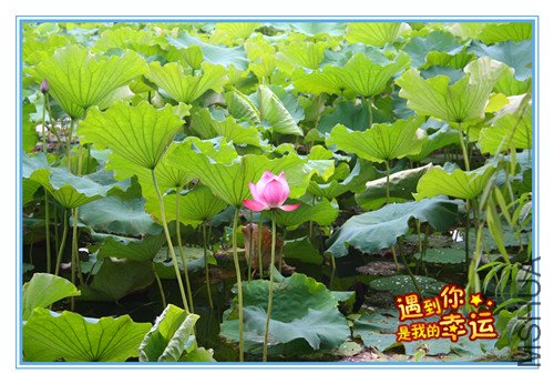 ��Ƭ 005_����.jpg