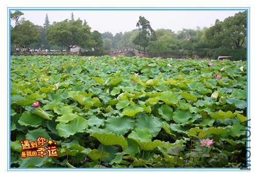 ��Ƭ 007_����.jpg