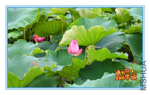 ��Ƭ 010_����.jpg