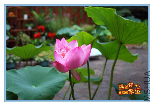 ��Ƭ 017_����.jpg