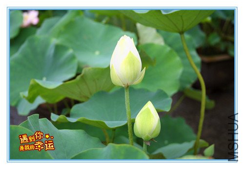 ��Ƭ 024_����.jpg