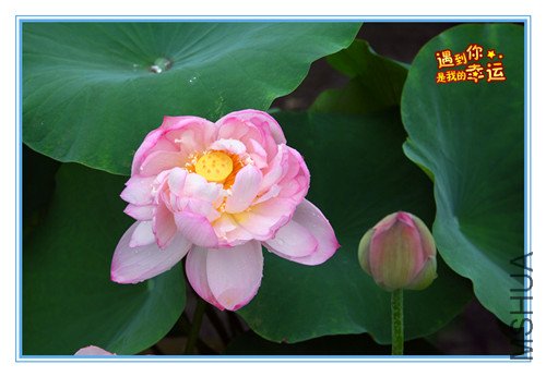 ��Ƭ 025_����.jpg