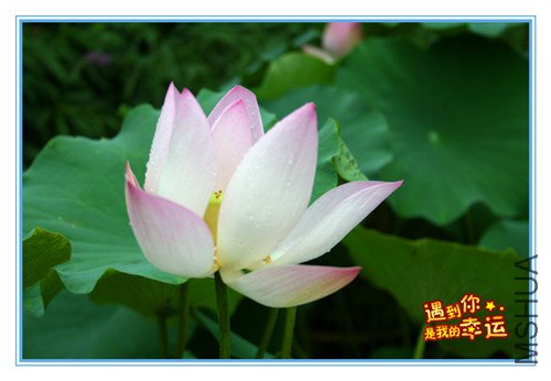 ��Ƭ 026_����.jpg