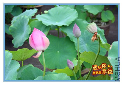 ��Ƭ 027_����.jpg