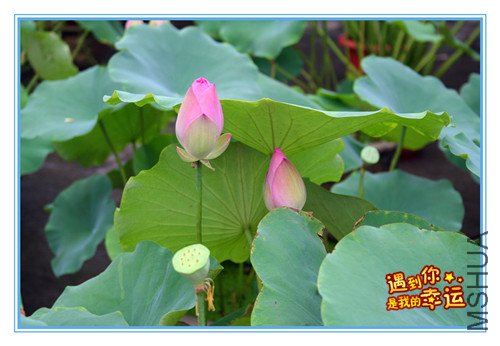 ��Ƭ 028_����.jpg