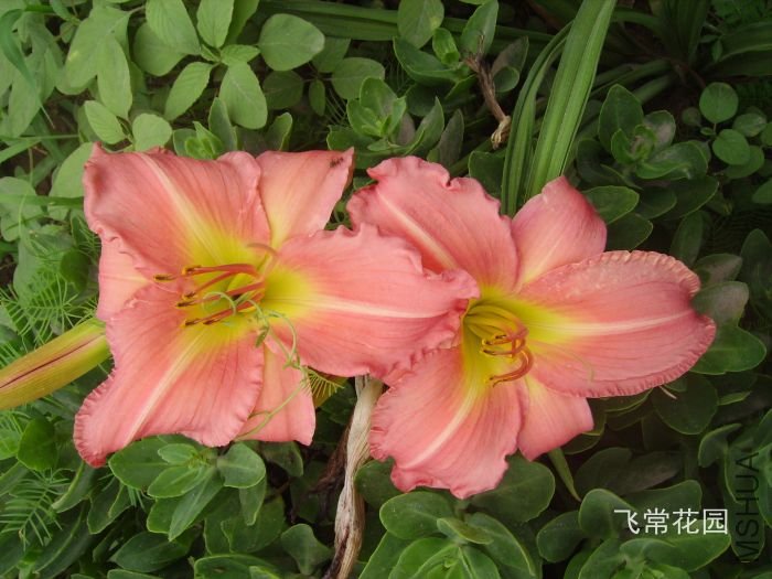 pict2097.jpg