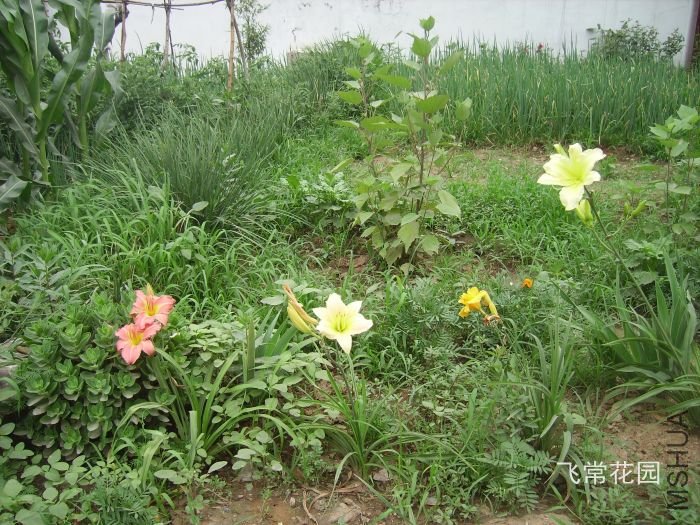 pict2098.jpg