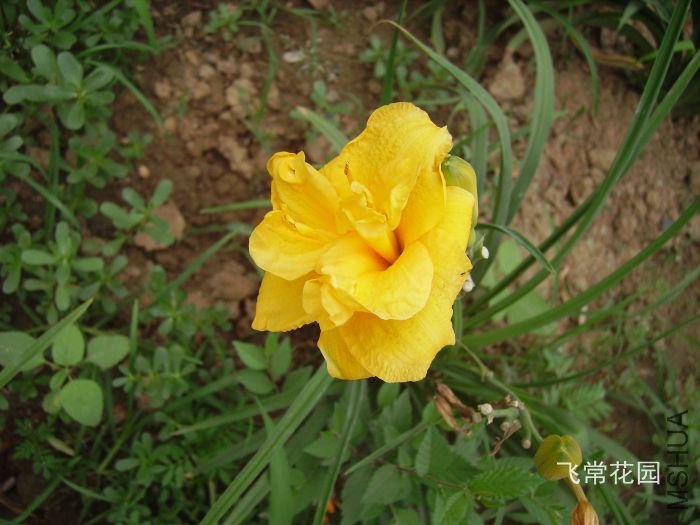 pict2099.jpg