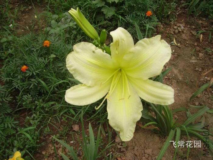 pict2100.jpg