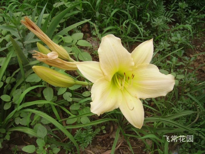 pict2101.jpg