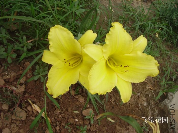 pict2102.jpg