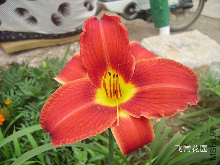 pict2104.jpg