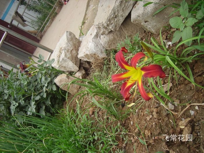 pict2105.jpg