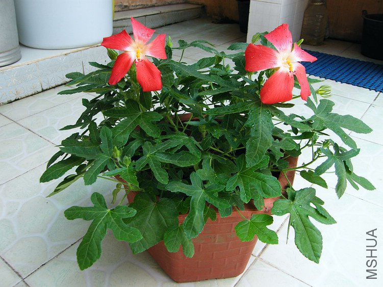 DSCF5032.jpg