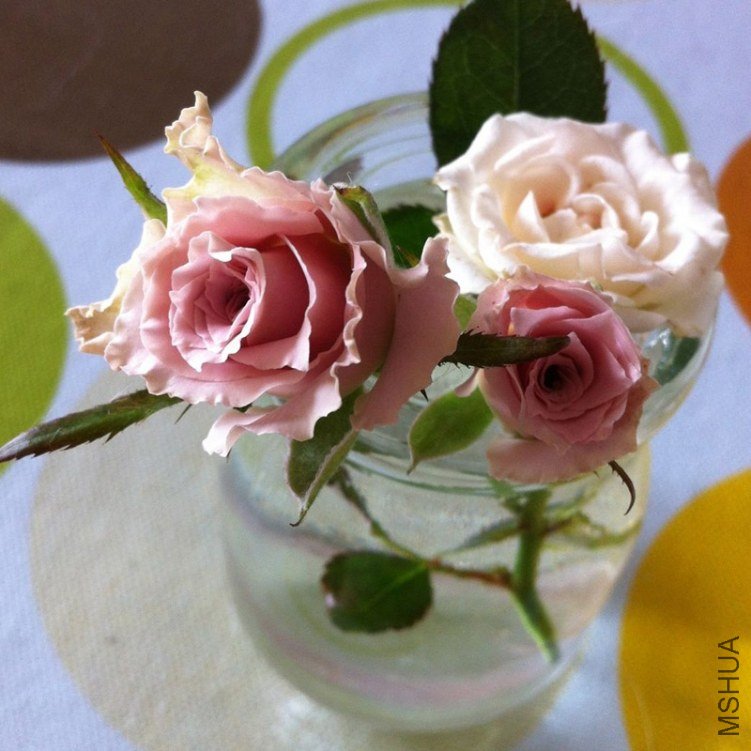 ����С����԰