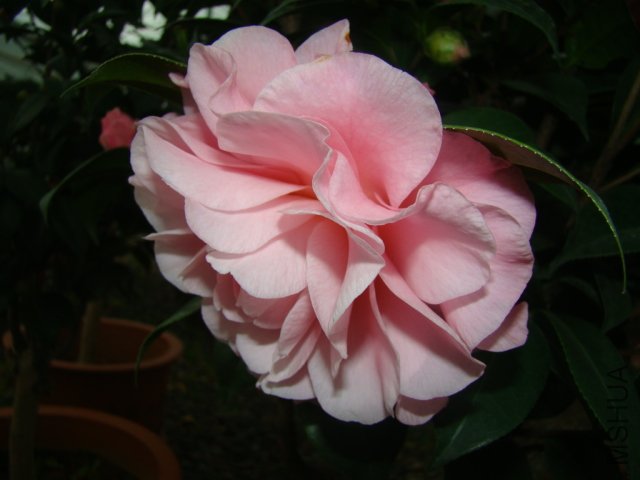 DSC03121.JPG