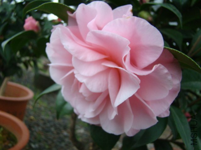 DSC03122.JPG