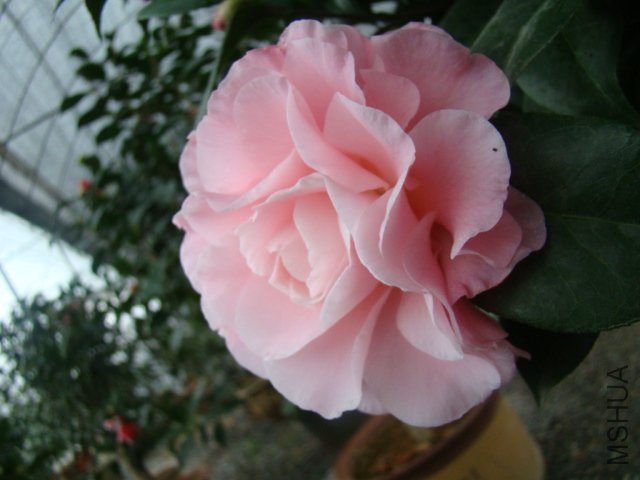 DSC03124.JPG