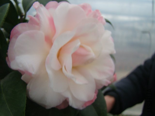 DSC03127.JPG