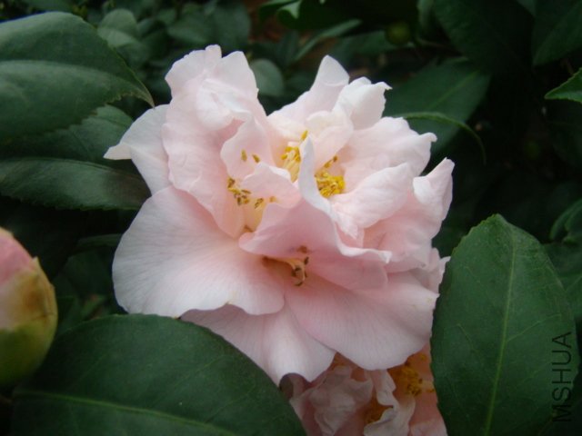 DSC03128.JPG