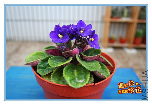 ��Ƭ 147_������2.jpg