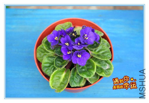 ��Ƭ 146_������1.jpg