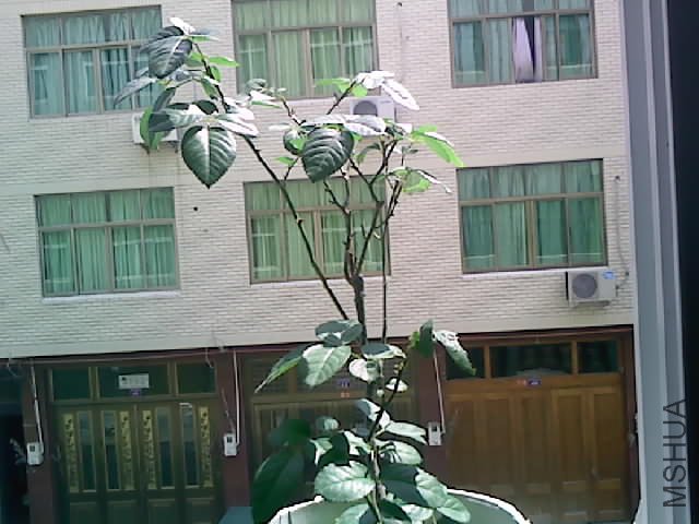 120711003.jpg