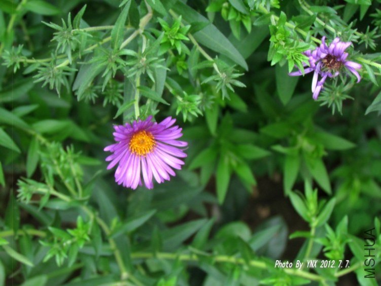 2012.7.7. 011_conew1.jpg