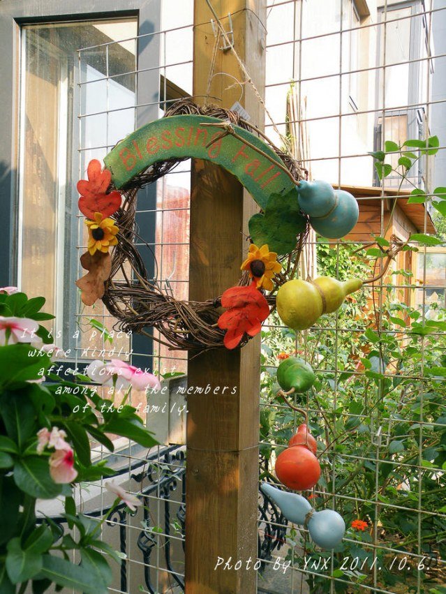 2010.10.6.. 008_conew1.jpg