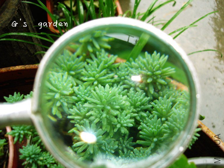 ��ѩ  �Ŵ�.jpg