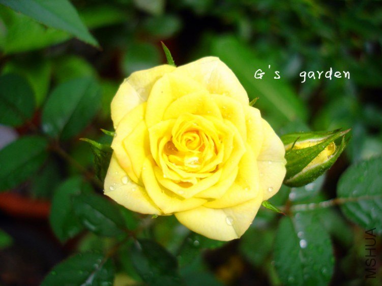 ���¼�   .jpg