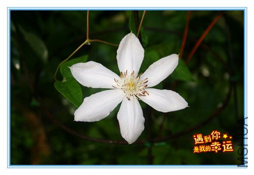 ��Ƭ 006_����.jpg