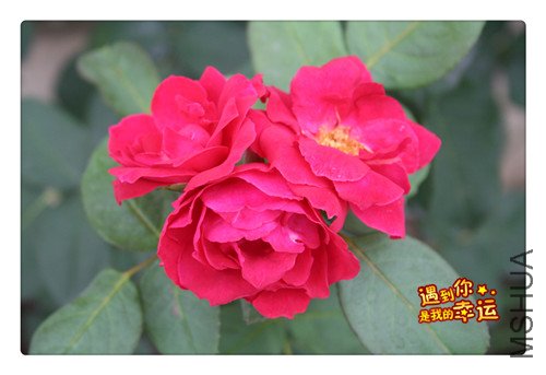 ��Ƭ 023_����.jpg