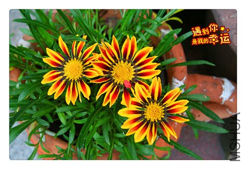 ��Ƭ 019_����.jpg