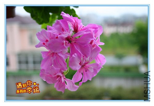 ��Ƭ 013_����.jpg