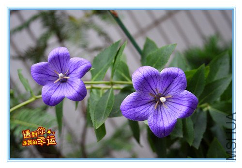 ��Ƭ 005_����.jpg