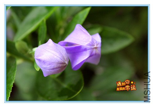 ��Ƭ 018_����.jpg