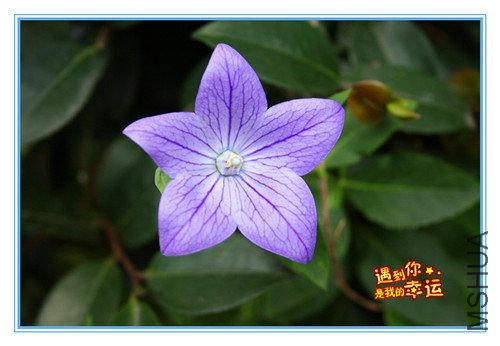 ��Ƭ 020_����M_����.jpg